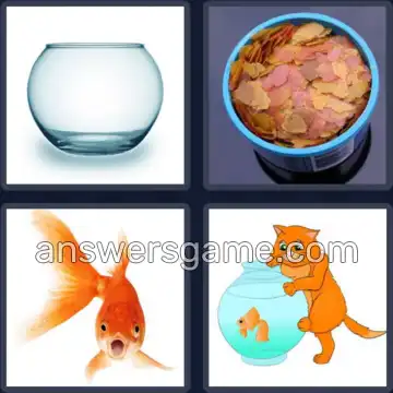 4 Images 1 Mot 6 lettres CYPRIN