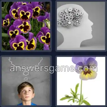 4 Images 1 Mot 6 lettres PENSEE