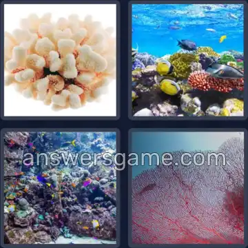 4 Images 1 Mot 6 lettres CORAIL