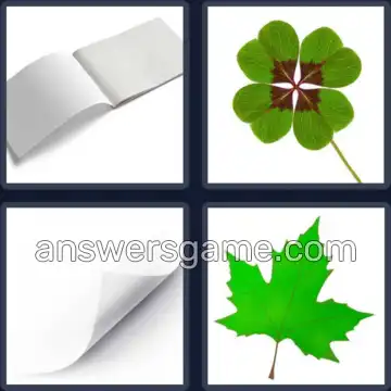 4 Images 1 Mot 7 lettres FEUILLE