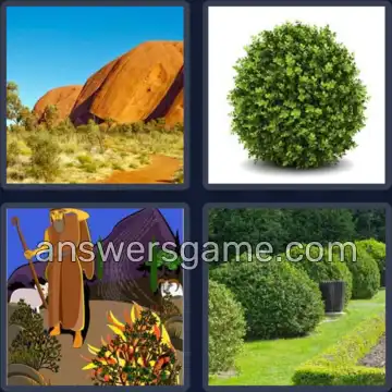 4 Images 1 Mot 7 lettres BUISSON