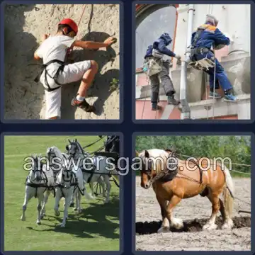 4 Images 1 Mot 7 lettres HARNAIS