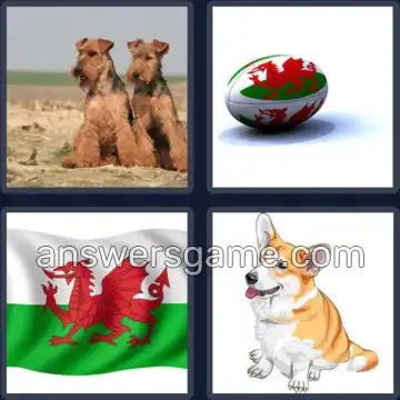 4 Images 1 Mot 7 lettres GALLOIS