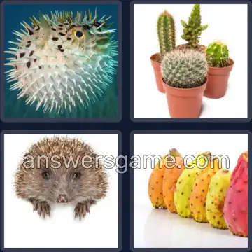 4 Images 1 Mot 7 lettres EPINEUX