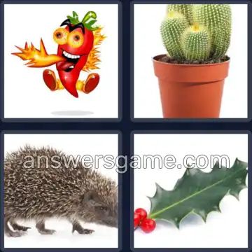 4 Images 1 Mot 7 lettres PIQUANT