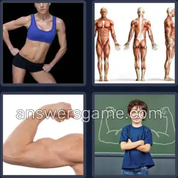 4 Images 1 Mot 7 lettres MUSCLES