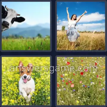 4 Images 1 Mot 7 lettres PRAIRIE