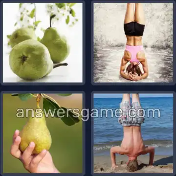 4 Images 1 Mot 7 lettres POIRIER