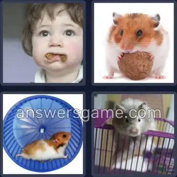4 Images 1 Mot 7 lettres HAMSTER