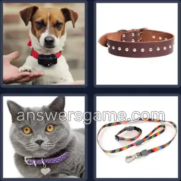 4 Images 1 Mot 7 lettres COLLIER