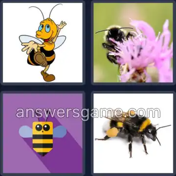 4 Images 1 Mot 7 lettres BOURDON