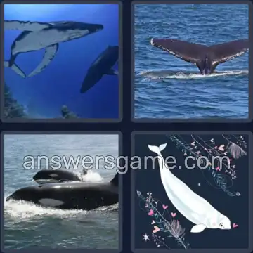 4 Images 1 Mot 7 lettres BALEINE
