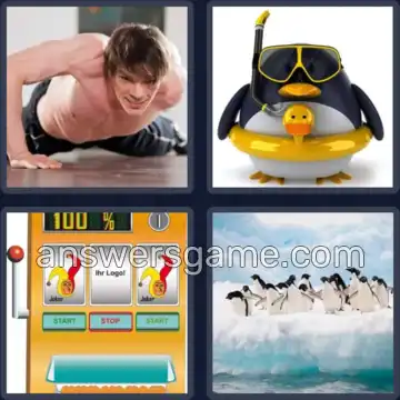 4 Images 1 Mot 7 lettres MANCHOT