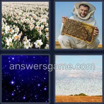 4 Images 1 Mot 7 lettres MYRIADE
