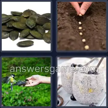 4 Images 1 Mot 7 lettres GRAINES