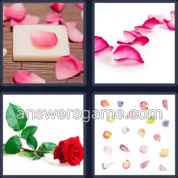 4 Images 1 Mot 7 lettres PETALES
