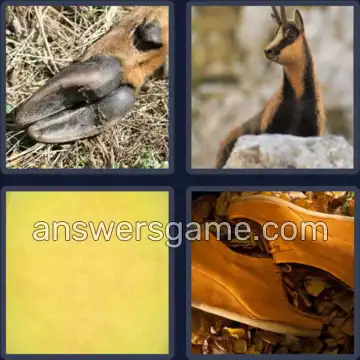 4 Images 1 Mot 7 lettres CHAMOIS