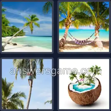 4 Images 1 Mot 7 lettres PALMIER