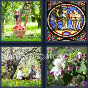 4 Images 1 Mot 7 lettres POMMIER