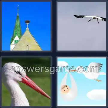 4 Images 1 Mot 7 lettres CIGOGNE