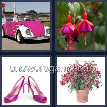 4 Images 1 Mot 7 lettres FUCHSIA
