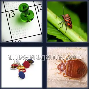 4 Images 1 Mot 7 lettres PUNAISE