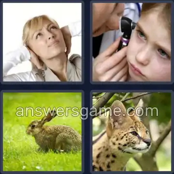 4 Images 1 Mot 7 lettres OREILLE