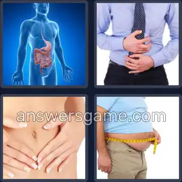 4 Images 1 Mot 7 lettres ESTOMAC