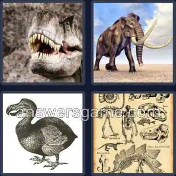 4 Images 1 Mot 7 lettres DISPARU