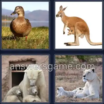 4 Images 1 Mot 7 lettres FEMELLE