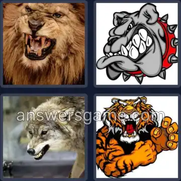 4 Images 1 Mot 7 lettres GRONDER