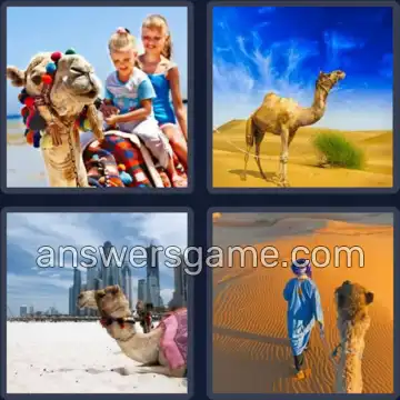 4 Images 1 Mot 7 lettres CHAMEAU