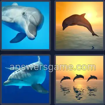 4 Images 1 Mot 7 lettres DAUPHIN