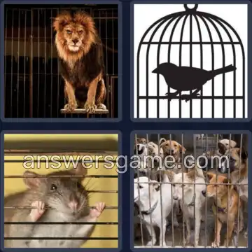 4 Images 1 Mot 7 lettres ENCAGER