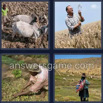 4 Images 1 Mot 7 lettres FERMIER