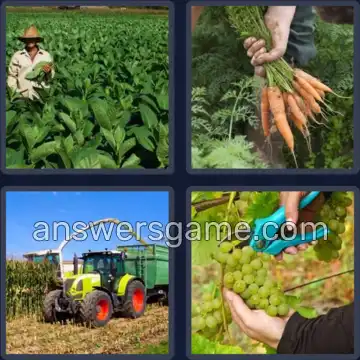 4 Images 1 Mot 7 lettres RECOLTE