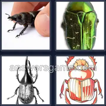 4 Images 1 Mot 8 lettres SCARABEE