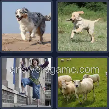 4 Images 1 Mot 8 lettres GAMBADER