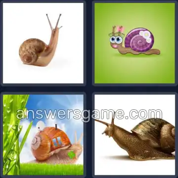 4 Images 1 Mot 8 lettres ESCARGOT