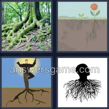 4 Images 1 Mot 8 lettres ENRACINE