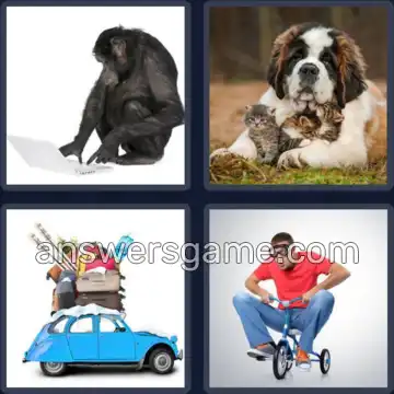 4 Images 1 Mot 8 lettres INSOLITE