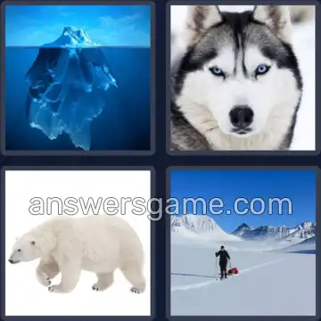 4 Images 1 Mot 8 lettres ARCTIQUE