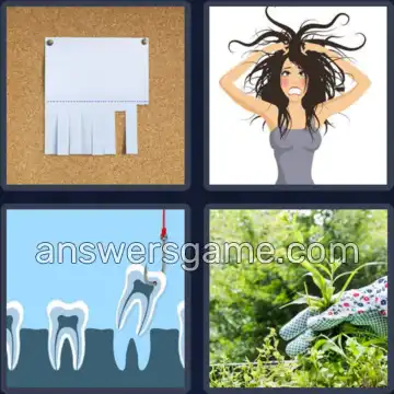 4 Images 1 Mot 8 lettres ARRACHER
