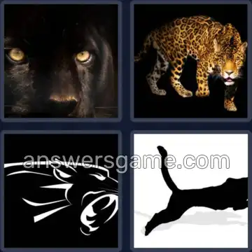 4 Images 1 Mot 8 lettres PANTHERE