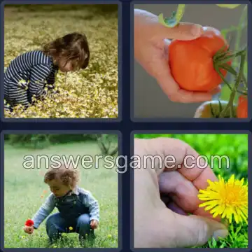 4 Images 1 Mot 8 lettres CUEILLIR