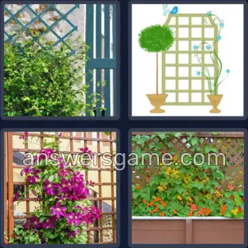 4 Images 1 Mot 8 lettres TREILLIS