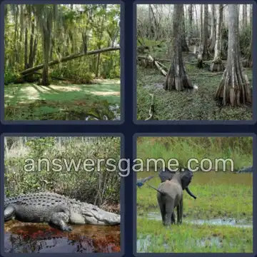4 Images 1 Mot 8 lettres MARECAGE