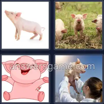 4 Images 1 Mot 8 lettres PORCELET