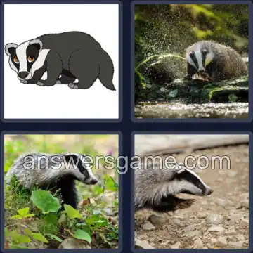 4 Images 1 Mot 8 lettres BLAIREAU