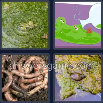 4 Images 1 Mot 8 lettres VISQUEUX